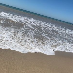 Meet your Posher, Taylee